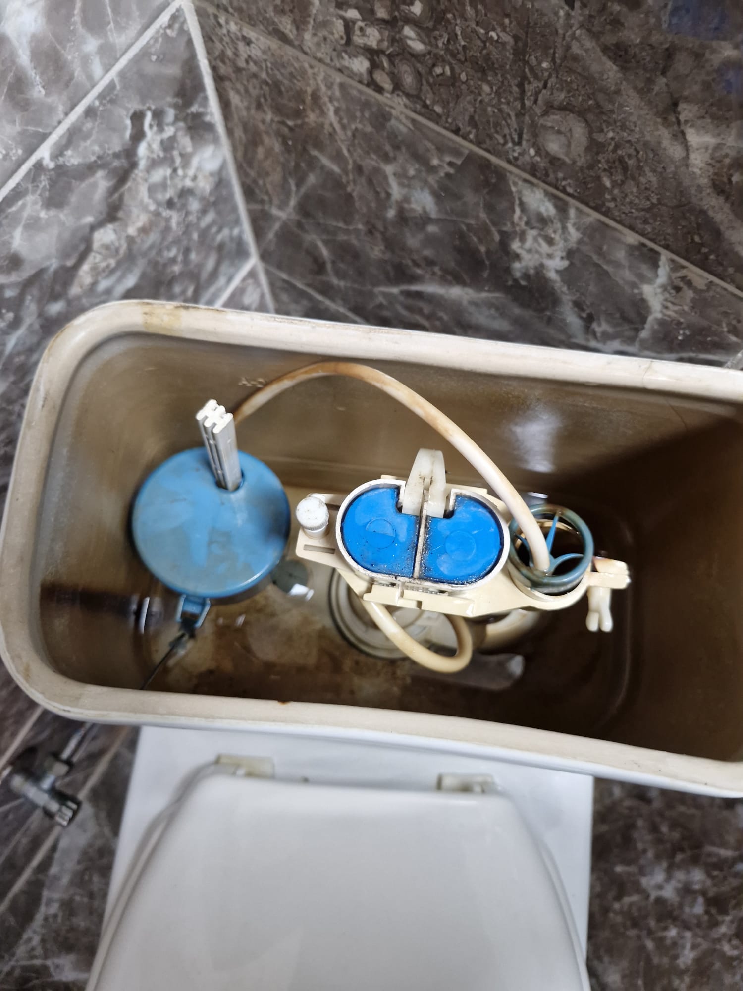 תיקון מיכל הדחה אסלה