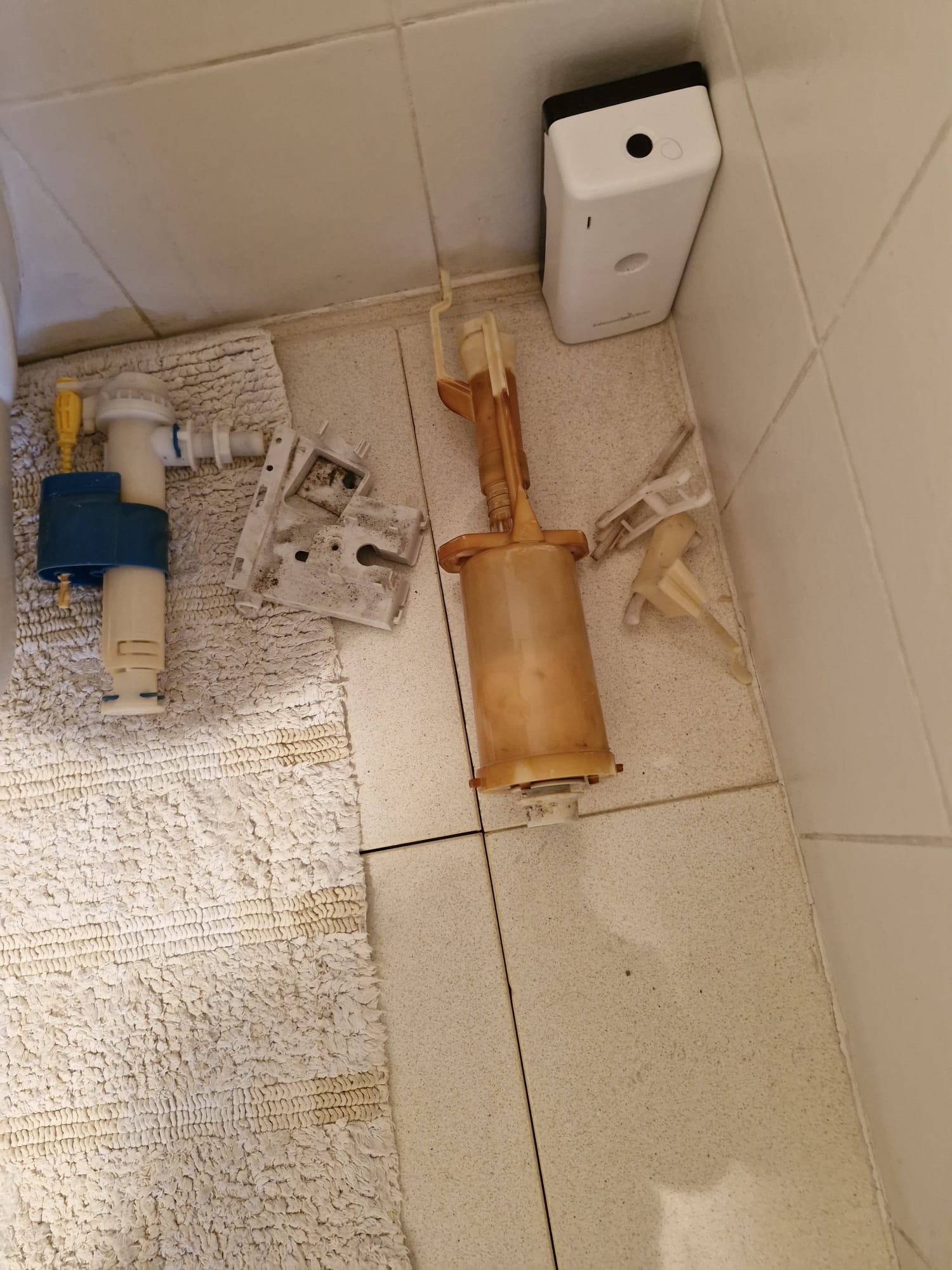 החלפת חלקי מנגנון אסלה